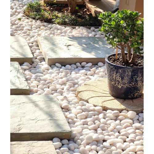 FANTIAN 20 lbs White River Rocks, 1-2 Inch Polished Pebbles for Indoor Plants, Decorative White Stones for Plants, Vase, Aquarium, Fish Tank, Landscaping and Garden