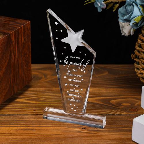 Bucherry 10 Pcs Employee Awards Thank You Trophies Acrylic, Stylish