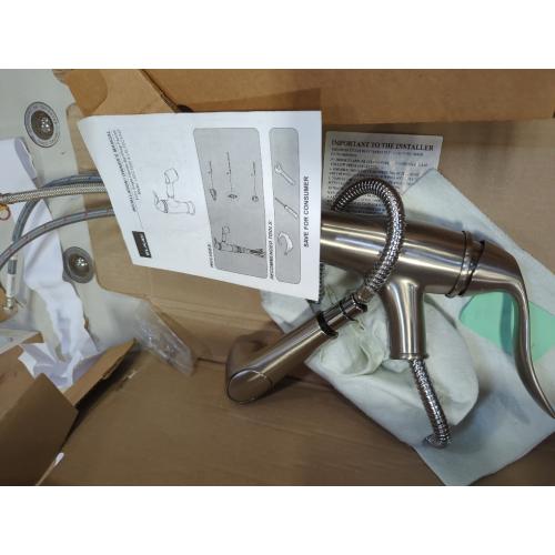 EZ-FLO 10385 Non-Metallic Pull-Out Spout Kitchen Faucet, Brushed Nickel