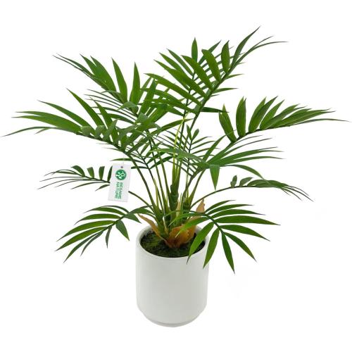 Artificial Palm Tree Plant, Potted Artificial Plant for Home Office Decoration, 12 Tall, Ships in White Ceramic Planter