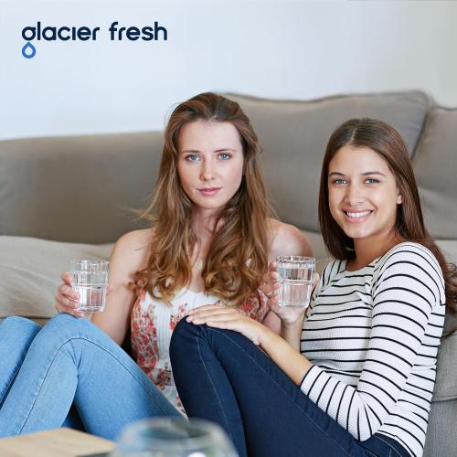 GLACIER FRESH XWFE (Built-in CHIP) Refrigerator Water Filter Pack of 1