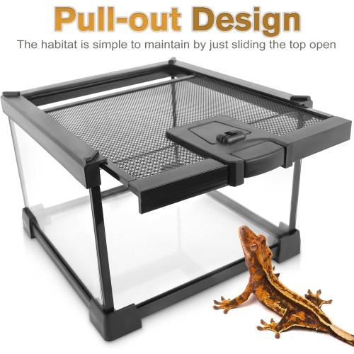 8x8x12 Escape-Proof Glass Terrarium, Top-Opening Vertical Vivarium for Small Arboreal Reptiles Such as Green Anoles, Full-View Tank with Escape-Proof Lock & Feeding Hatch