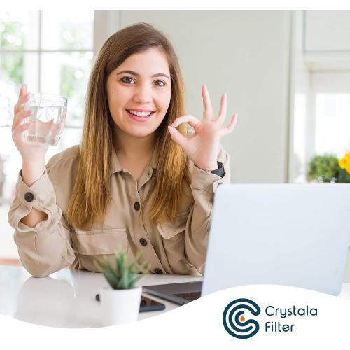Crystala Filters XWFE (Built-in CHIP) Refrigerator Water Filter 2-Pack