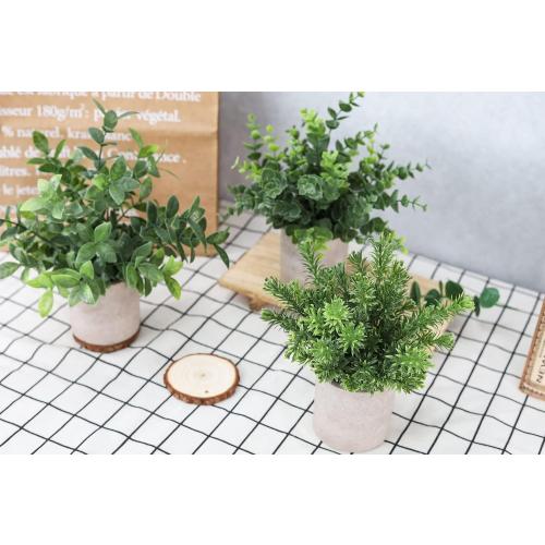 Der Rose 3 Pack Fake Plants Mini Faux Plants for Shelf Classroom Decor