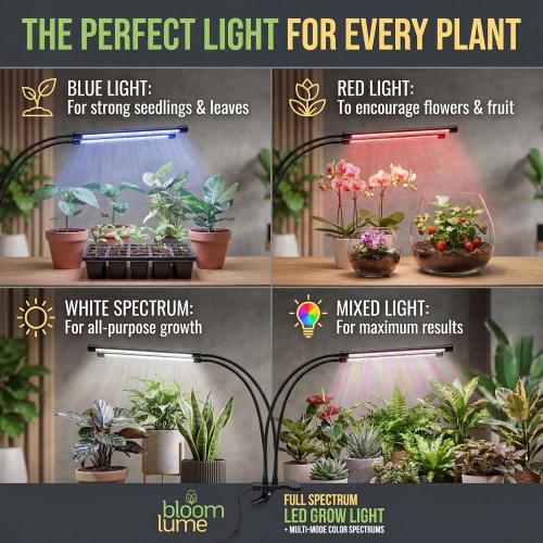 Bloom Lume LED Grow Lights for Indoor Plants Full Spectrum 6000K -