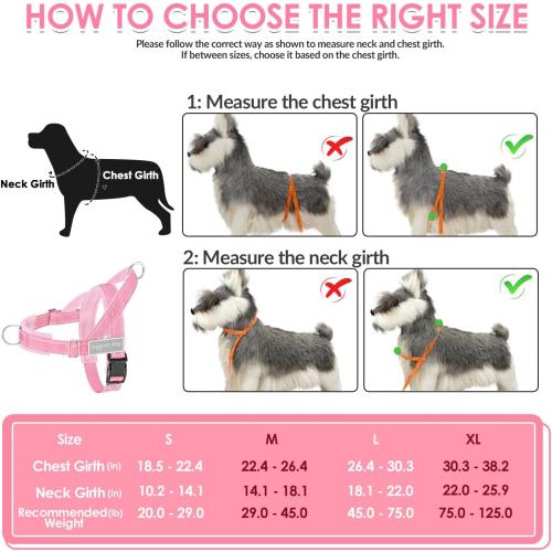 SlowTon No Pull Dog Harness and Leash Set - Heavy Duty, Soft Padded