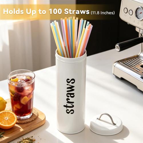 Metal Straw Holder with Handle Lid, 12 Inches Tall Drinking Straw Dispenser