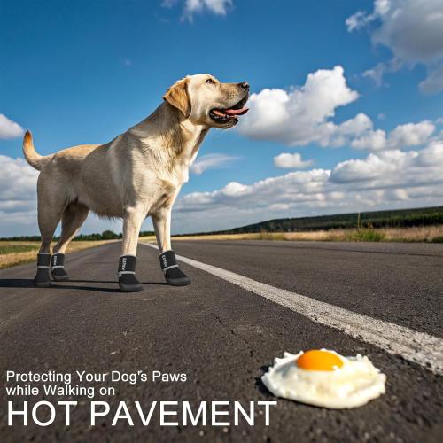 EXPAWLORER Waterproof Dog Shoes for Small Medium Large Dogs, Dog Shoes for Hot Pavement, Hiking Walking, Reflective Dog Booties for Outdoor Snow Rain Days, Anti-Slip Dog Boots & Paw Protectors