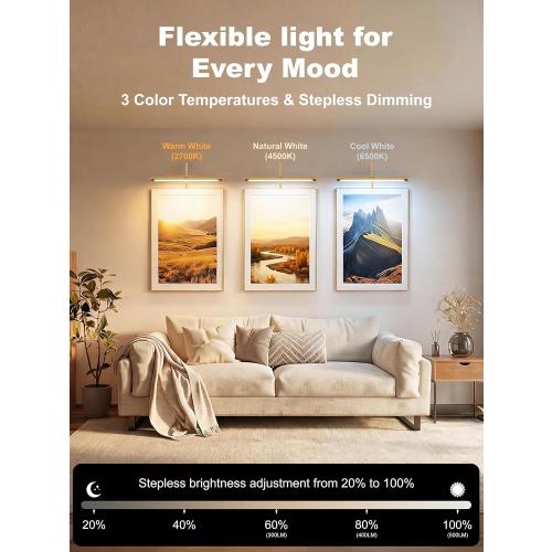 ZitoStory Plug in Picture Light for Wall, Modern Dimmable Picture Frame Lights with Remote LED Wall Art Lights for Paintings Gallery Dartboard (Gold, 16 inch)