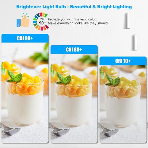 LED Light Bulbs, 100 Watt Equivalent A19, 13W 5000K Daylight White 1500 Lumens Non-Dimmable Bright E26 Edison Medium Screw Bulbs for Home Bedroom Kitchen Living Room Office Lamp, 4-Pack
