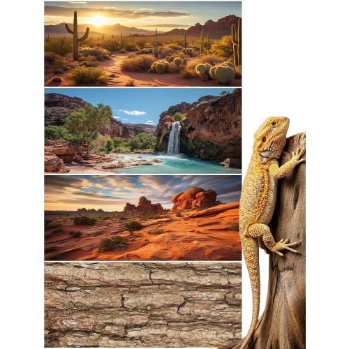 Breling 4 Pcs 36 x 18'' Reptile Tank Background 30/40/50 Gallon Tank