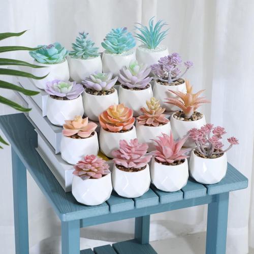 VIVERIE Mini Orange Artificial Succulent in Pots (White Ceramic, 4 Pot Set) Fake Plants for Indoors, Office Home Halloween/Christmas Decor Gifts-Faux Plant Gifts for Women