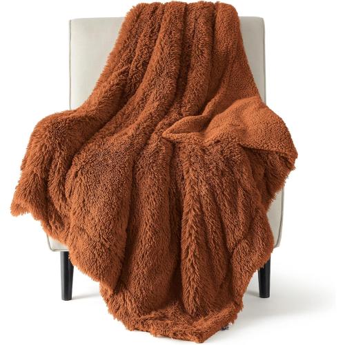 Bedsure GentleSoft Fluffy Burnt Orange Throw Blanket Fall Decorations for Home, Terracotta Blanket Fall Decor for Living Room, Soft Sherpa Fleece Fuzzy Faux Fur Plush Orange Gifts for Women, 50x60