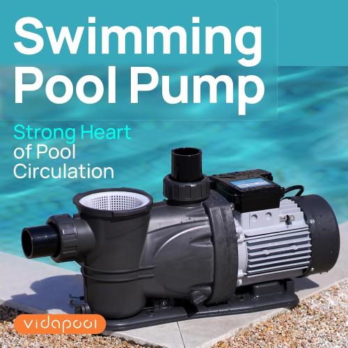 VIDAPOOL In/Above Ground Pool Pump, Self Primming High Flow (Single Speed, 2HP, 8120 GPH, 115V)