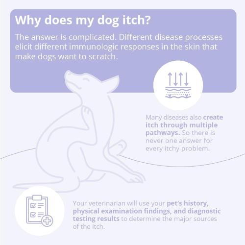 Mal-A-Ket Shampoo for Dogs and Cats, 8 oz