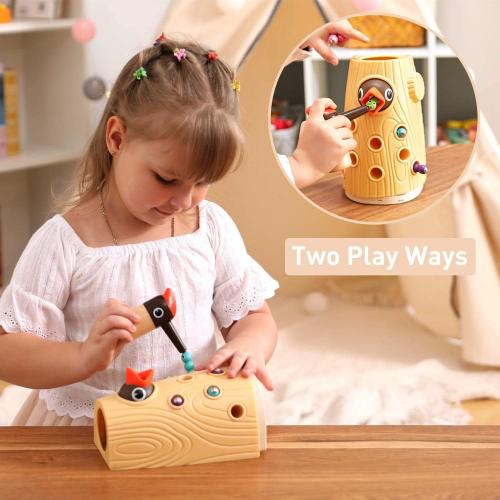 TOP BRIGHT Montessori Toys for 2 Year Old Gift, Magnetic Bird Feeding Game