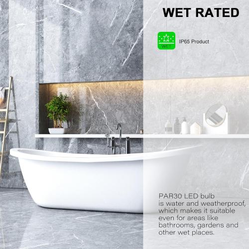 LightingWill 11W Par30 LED Bulb (75W Equivalent), UL Listed, 5000K Daylight White Dimmable Flood Light Bulbs, 850 Lumens, E26 Base, LED Recessed Light Bulbs for Indoor Outdoor, 12 Pack