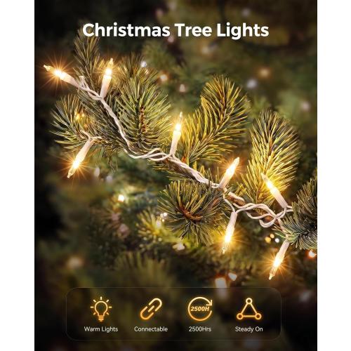 Brightown Christmas Lights Outdoor 100 Count 20Ft String Lights for Indoor | Clear Incandescent Bulb Mini Fairy Lights, Waterproof & Connectable for Xmas Decorations, Christmas Tree Garland, White Wire