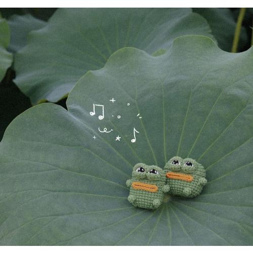 Yatchen Plush Case for AirPods Pro, Cute Fluffy 3D Cartoon Frog Furry Hairy   Soft TPU Cover Warm Carrying with Keychain Accessories Anti-Fall Protector for AirPods Pro Frog