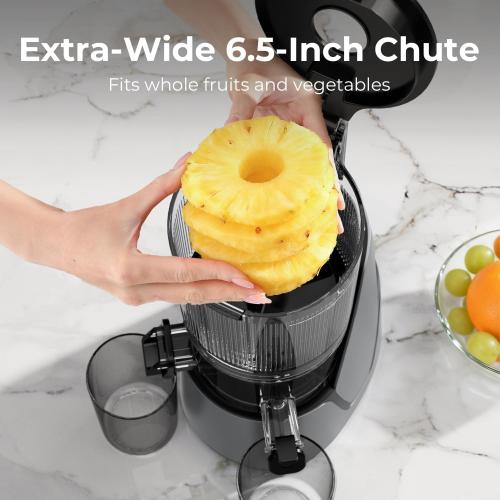 EanOruus Juicer Machines, 3-in-1 Cold Press Juicer, Premium Gray