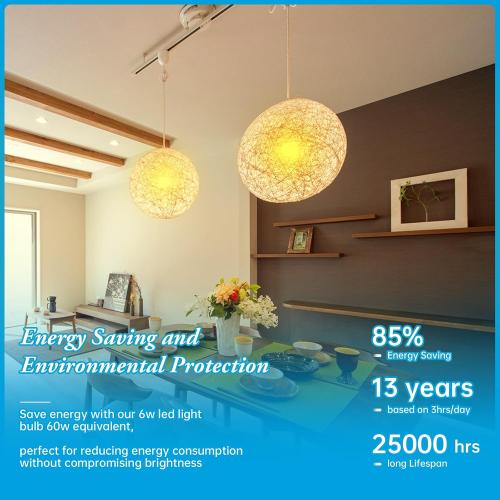 Frosted Globe LED Edison Bulb G30,Non-Dimmable 2700K, 6W E26 1PK