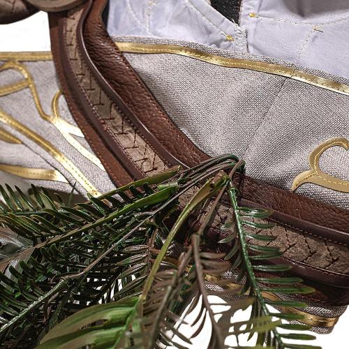 Halsin Cosplay Costume Men's BG3 Game Full Set Waistcoat Top Pants for Halloween Party