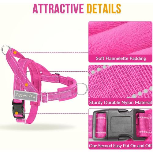 SlowTon No Pull Dog Harness and Leash Set - Heavy Duty, Soft Padded