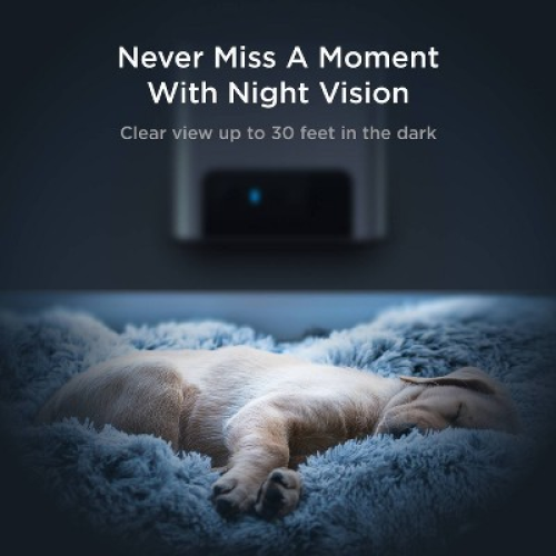 Petcube Bites 2 Lite Interactive WiFi Pet Monitoring Camera with Phone App and Treat Dispenser