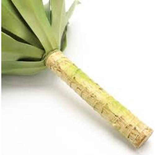SET OF 2 Artificial Agave Succulent Plant