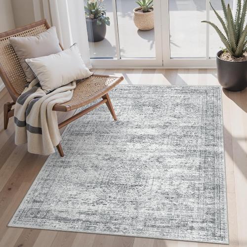 Soalmost 4x6 Area Rug for Living Room, Washable Rugs Non-Slip, Grey