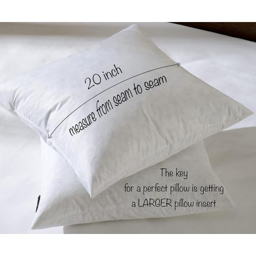‼️does have mild stains ‼️basic home® Hotel-Style 20x20 Goose Feather Pillow Insert for Sofa & Bed - 100% Odorless & Plump Cushion Filler - 233TC Cotton with Inner Liner to Prevent Poking (20x20 Inch)