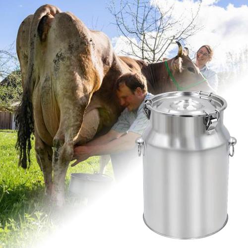 Stainless Steel Milking Machine Bucket with Lid, 10L Milk Can for Cow Sheep Goat Milking Equipment, Farm Milk Storage and Transport