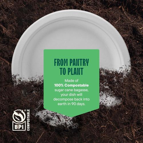 Stack Man 100% Compostable Small Paper Plates 7 Inch Heavy-Duty [125-Pack] Eco-Friendly White Bagasse Disposable Dessert Cake Plates - 7 Biodegradable Plate (BPI-Certified) (PFAS-Free)