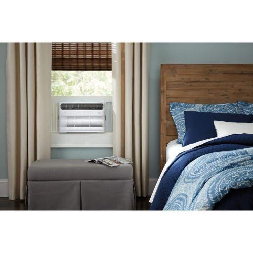 RAC-10-Premium Allergen Air AC Filter
