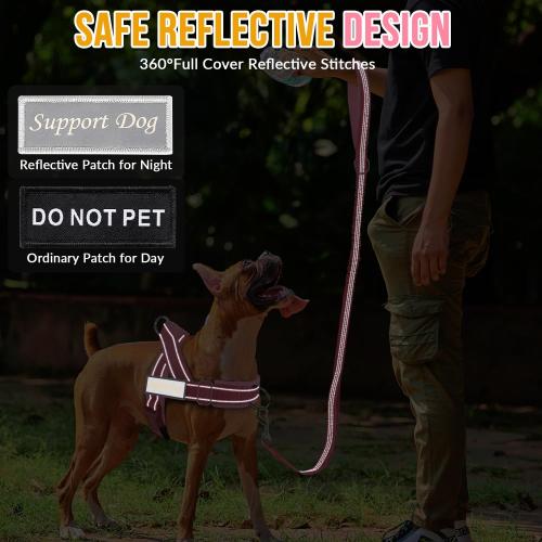 SlowTon No Pull Dog Harness and Leash Set - Heavy Duty, Soft Padded