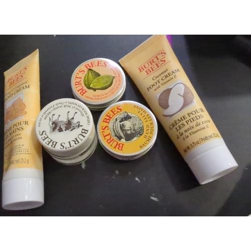 Burt's Bees Tips and Toes Kit