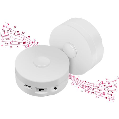 195 Seconds Message Voice Recorder, Voice Recording Button Record Custom Messages for Crafts, Stuffed Bear, Baby Doll,Pillow and Xmas Halloween New Year Birthday Presents White-2P