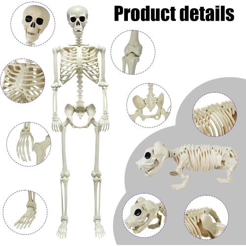 NEROSUN  Halloween Skeletons Decoration, Posable Life Full Size Skeleton with Dog Skeleton, Realistic Plastic Human Bones for Halloween Props Haunted House Graveyard Party Decor