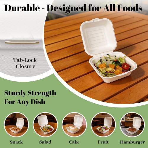 Lucklot 50 Pack 6×6 Inch White Compostable Bagasse Take Out Food Containers