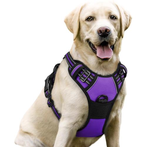 SIZE XL❗❗rabbitgoo Dog Harness, No-Pull Pet Harness with 2 Leash Clips, Adjustable Soft Padded Dog Vest, Reflective No-Choke Pet Oxford Vest with Easy Control Handle for Large Dogs, Purple,