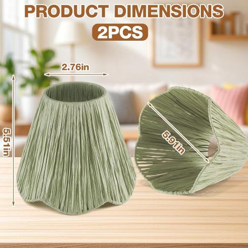Glooglitter 2 Pcs Small Rattan Lamp Shade Clip on, Raffia, Sage Green