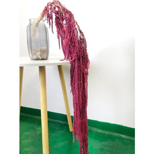 5 Pcs Bleached Wisteria Vine Hanging Dried Flowers, Natural Preserved Hanging Amaranthus Flowers for Wedding Bouquet, Wall Home Party Decor (Wine Red)