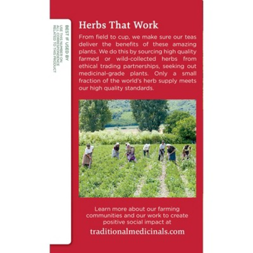 Traditional Medicinals Gypsy Cold Care Organic Tea - 32ct