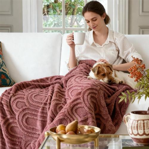 Bedsure GentleSoft Pink Throw Blankets for Women - Super Soft Cozy Modern Decorative Throw Blankets for Girls, Aesthetic Pink Cozy Accent for Couch & Bed, Dusty Rose, 50x60 Inche