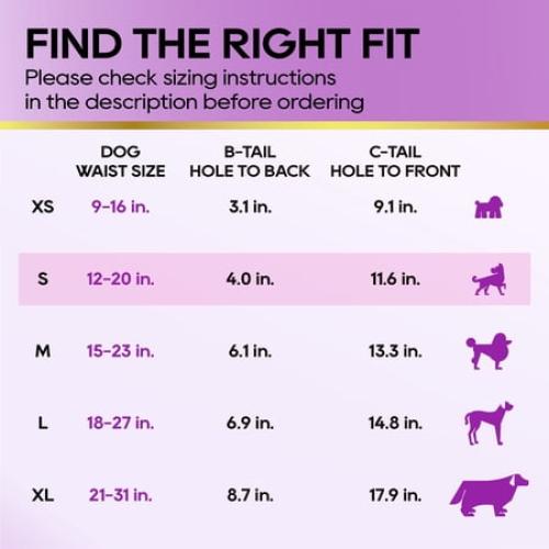 Honey Care All-Absorb A31 Disposable Female Dog Diapers Small Size, 40 Count, Super Absorbent