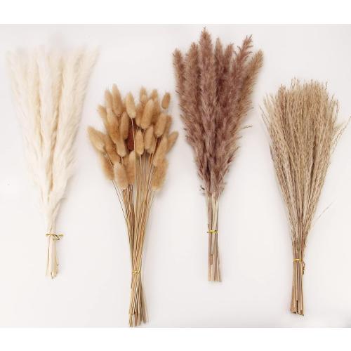Dried Pampas Grass Decor, 100 Stems Pampas Grass Contains Bunny Tails Dried Flowers, Reed Grass Bouquet for Wedding Boho Flowers Home Table Decor, Rustic Farmhouse Party (17, White and Brown)