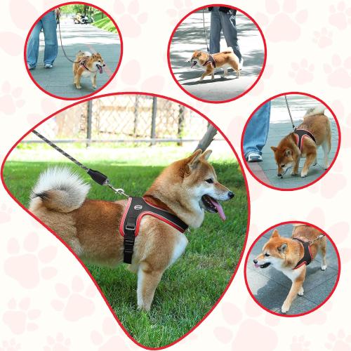 Dog Harness and Leash Set, No Pull Saddle Style Pet Harness, Breathable Mesh Adjustable Reflective Dog Vest for Medium Small Dogs Harness 2 D-Rings, Black, S