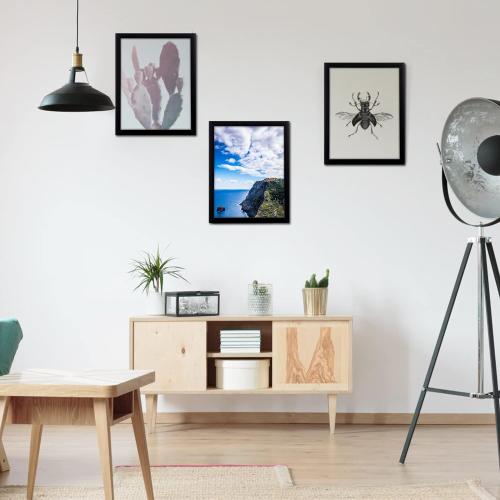 MENNTHUI 16x22 Black Picture Frame, Wall Mounting Horizontally or Vertically, Decoration for Photos, Paintings, Posters, Artwork