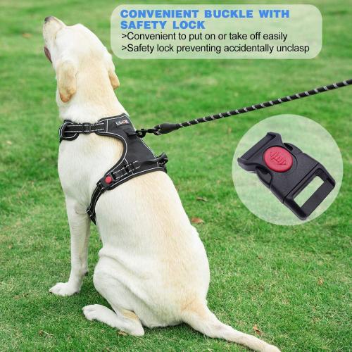 tobeDRI No Pull Dog Harness Adjustable Reflective Oxford Easy Control Medium Large Dog Harness with A Free Heavy Duty 5ft Dog Leash