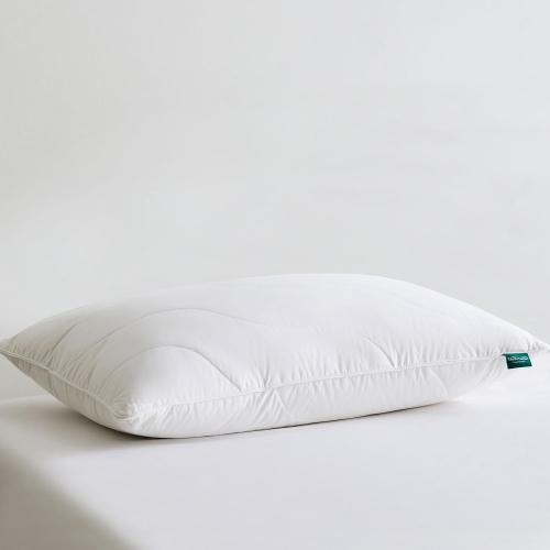 Three Geese White Goose Feather Down Pillows Standard Size Set of 1-100% Cotton, Medium Firm,Soft Support